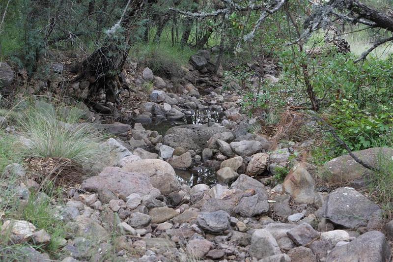 Madera Canyon small creek.jpg